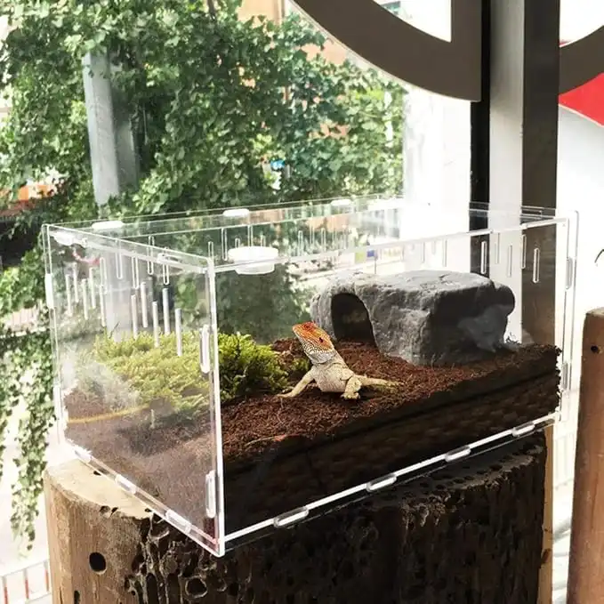 Terrario de acrílico moderno
