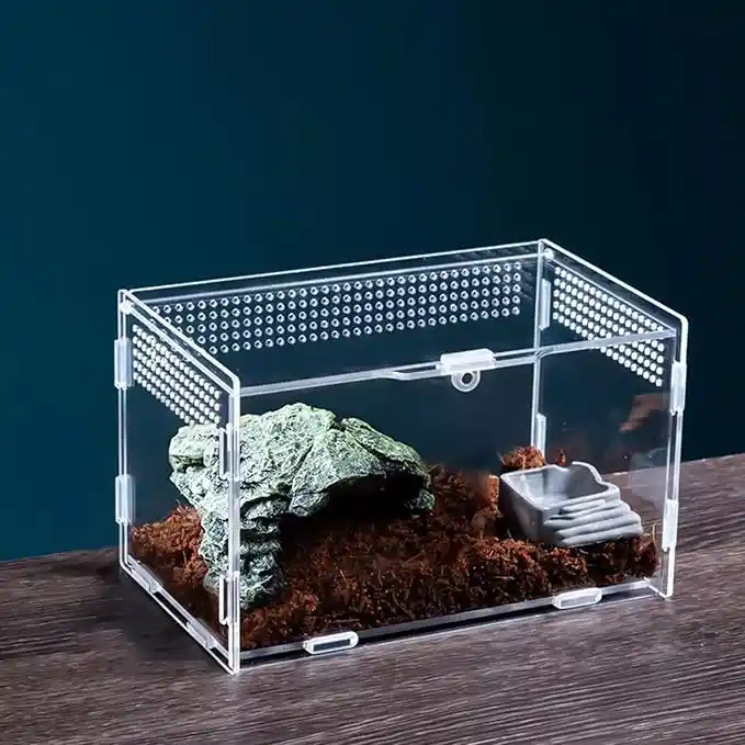 Mini Terrario Portátil de 20 x 12 x 20 cm