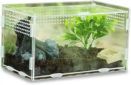 Terrario Keweni de 20 x 12 x 12 cm