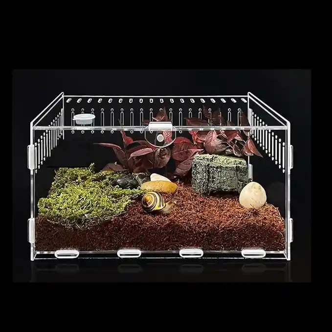 Terrario Acrílico Transparente Topspitgo