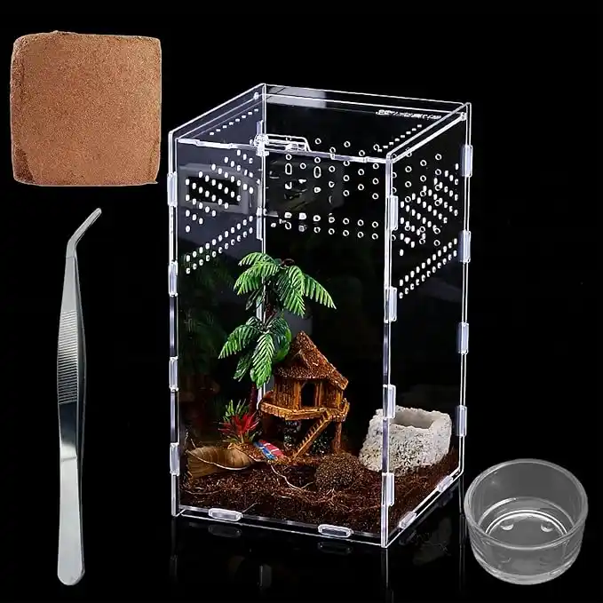 Terrario de insectos, recipiente de acrílico
