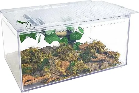 Caja de cría acrílica de 30 x 20 x 15 cm