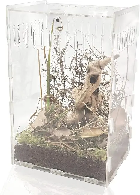 Terrario transparente de acrílico de 30 x 20 x 15 cm