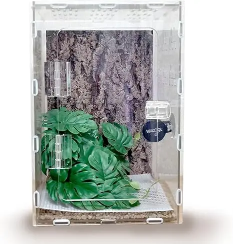 Terrario Acrílico Vertical de 30 x 20 x 15 cm