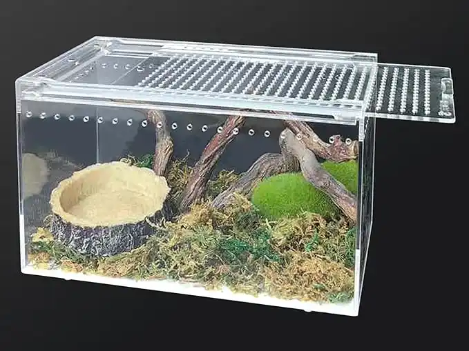 Terrario acrílico para reptiles caja magnética de cría