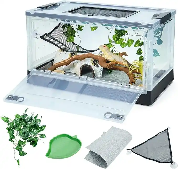 Salamandras