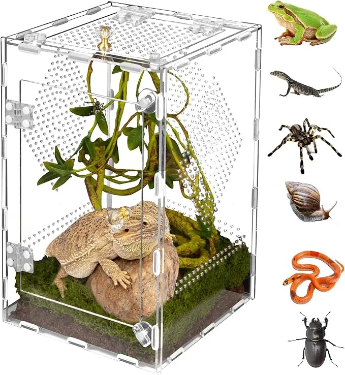 Orekemo – Terrario acrílico vertical