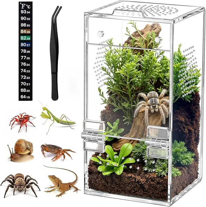 Enclosure acrílico ventilado para arañas