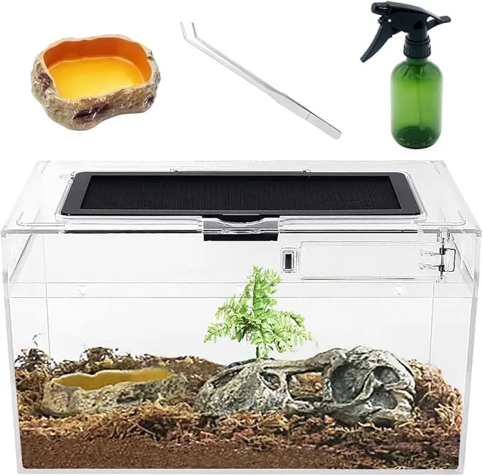 Mini terrario + set