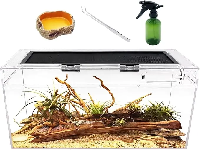 Reptile Growth – Terrario PC para escorpiones