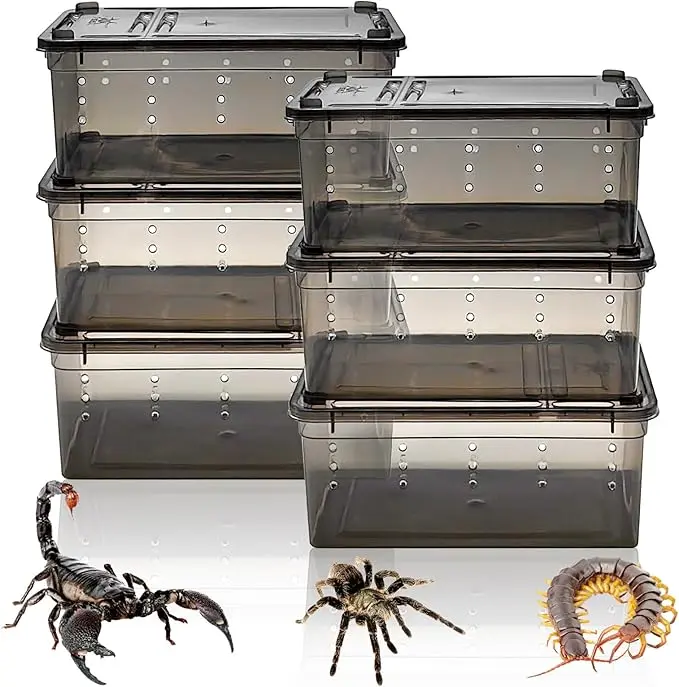 Set de Terrarios para Arañas y Escorpiones