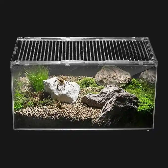 Terrario de PC para crustáceos