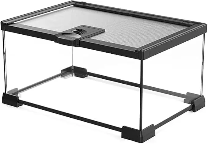 Terrario de Vidrio AWXZOM