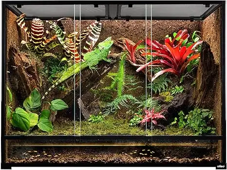 Terrario Grande Oiibo de 120 x 45 x 90 cm