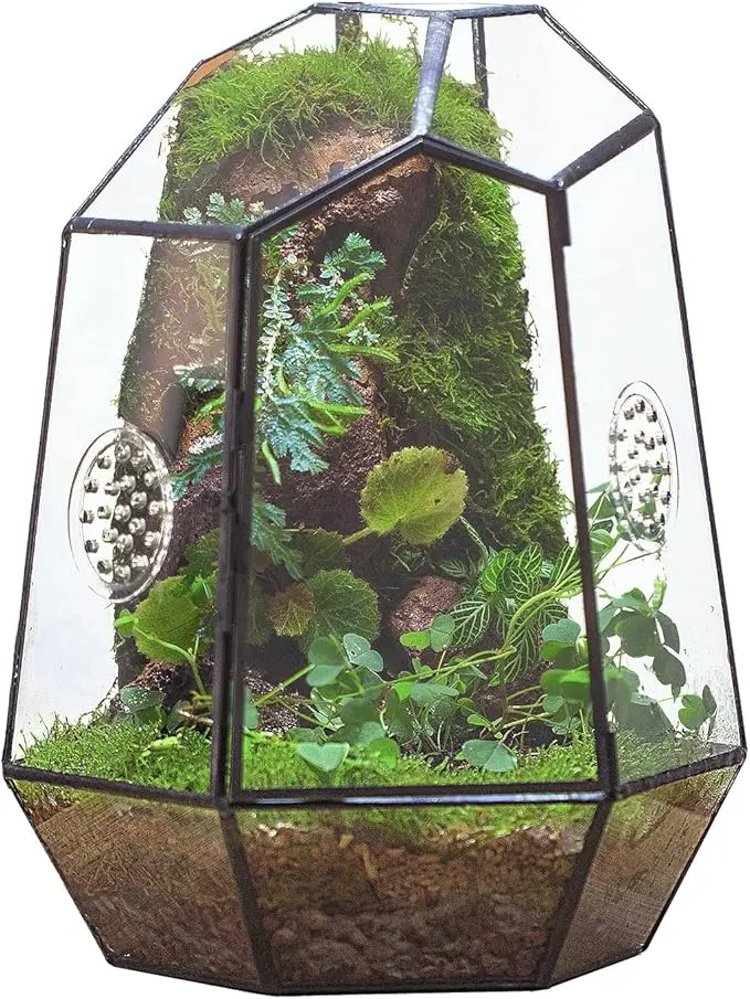 Terrario de Vidrio NCYP para Insectos Pequeños