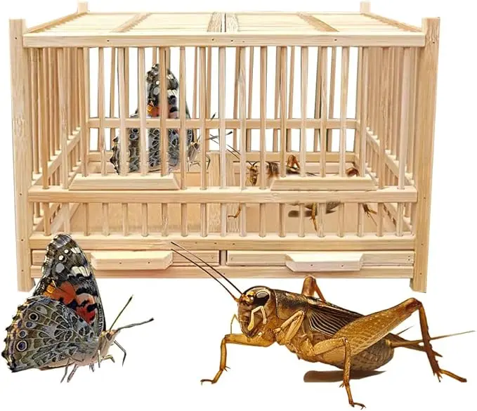 Terrario de Bambú para Insectos Pequeños
