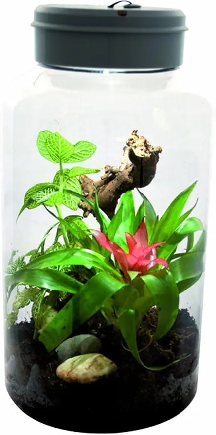 Nano Terrario Lucky Reptile IT-5 con Luz LED