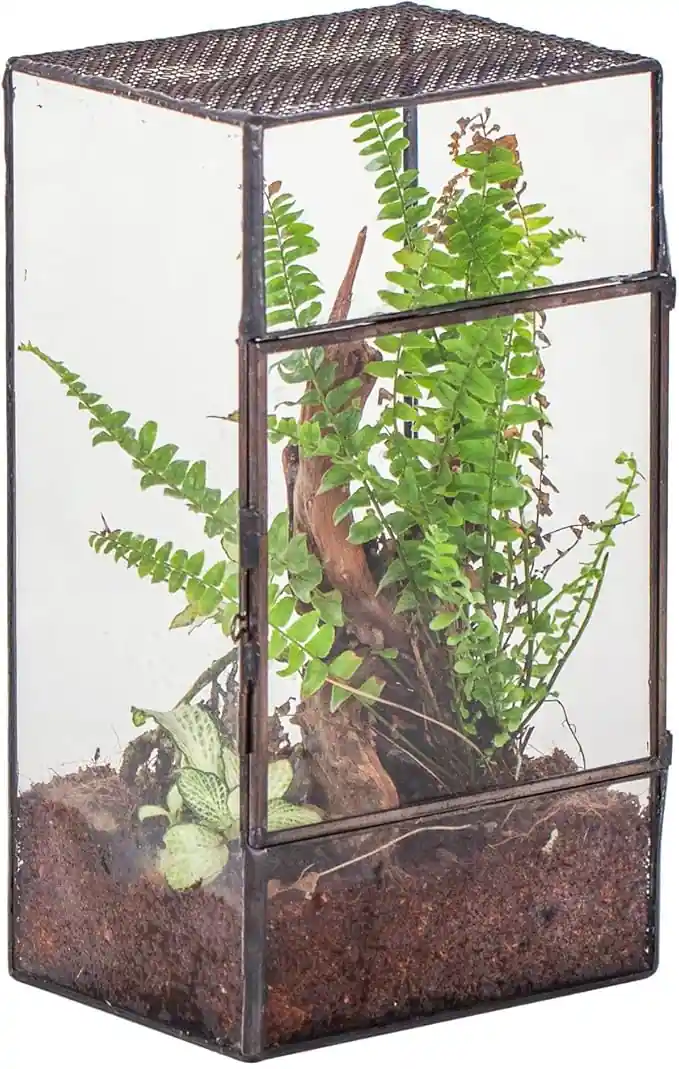 Terrario de cristal y malla para insectos pequeños