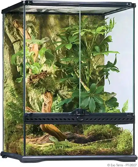 Terrario Exo Terra Alto de 45 x 45 x 60 cm