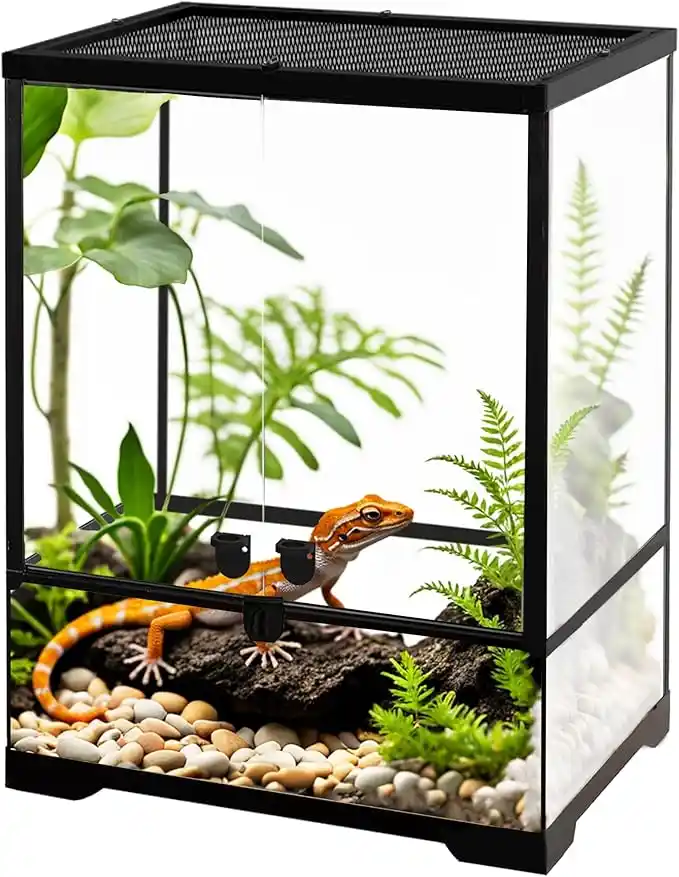 Terrario de vidrio para reptiles