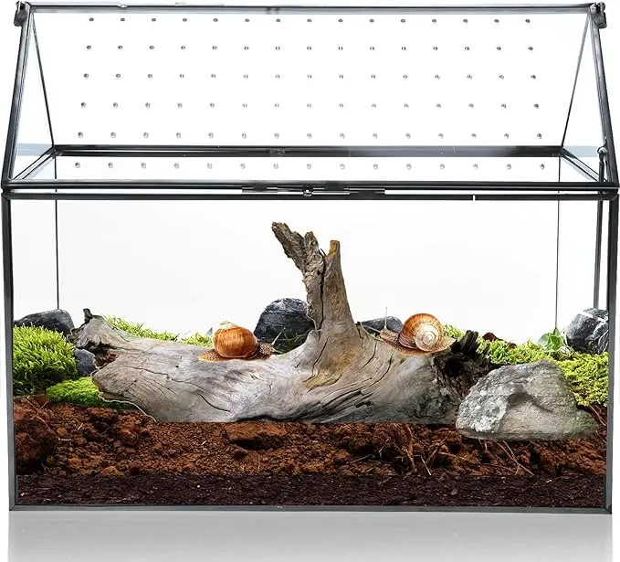 Terrario geométrico de vidrio – Estilo casa