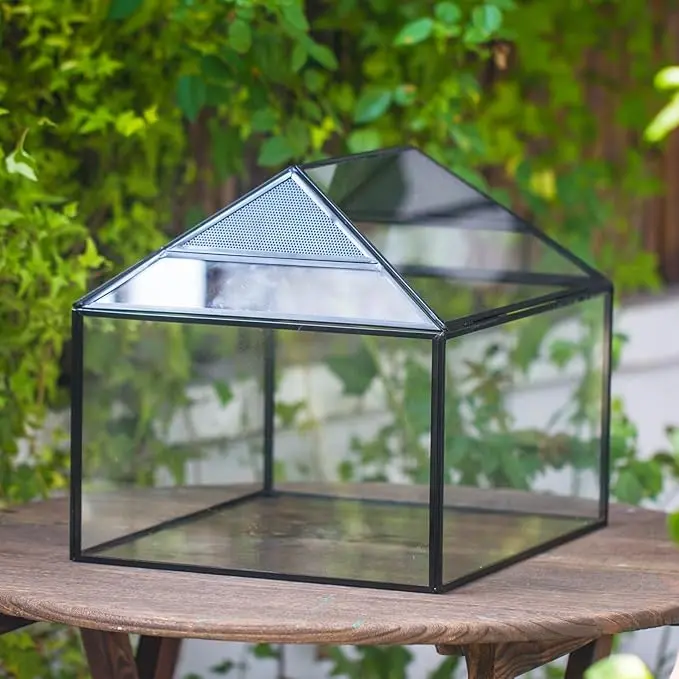 NCYP Terrario de Vidrio 14" × 12" × 12"