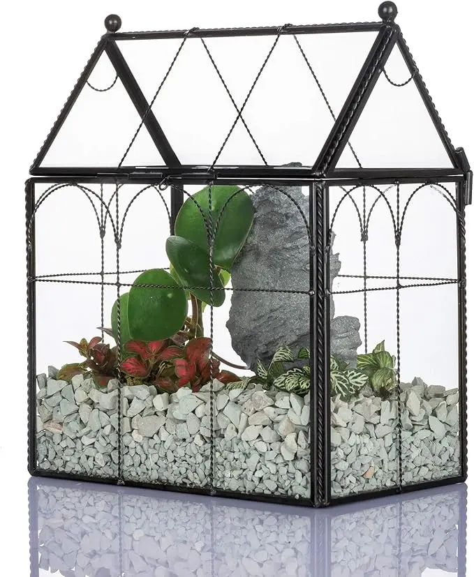 Terrario Geométrico NCYP 7.5" × 4.9" × 9"