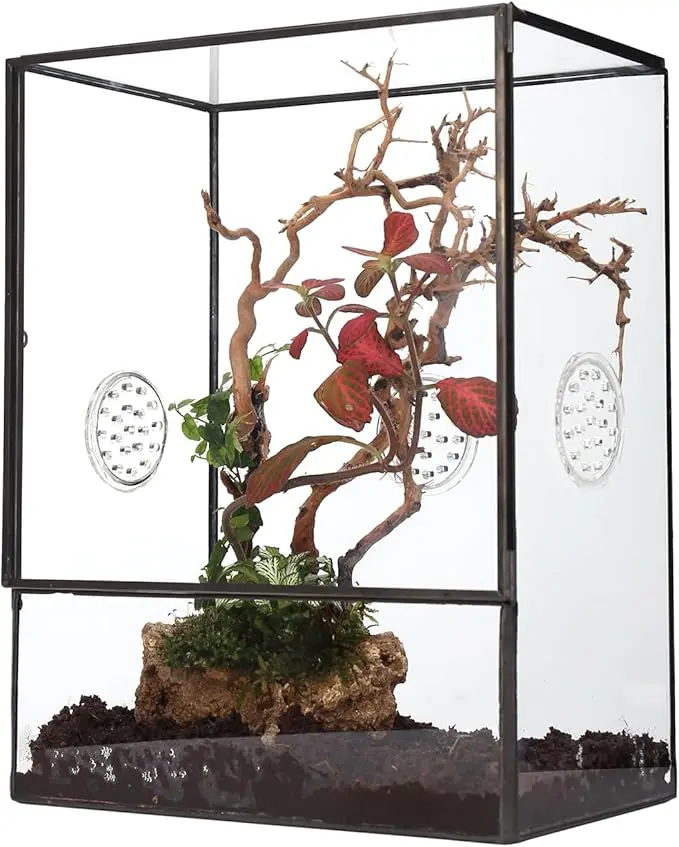 Terrario NCYP 8" × 4.5" × 10"