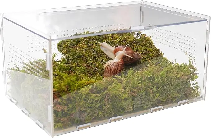 Kit Terrario Jinymral 11.22" × 7.87" × 6"