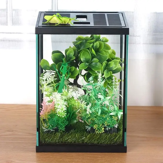Terrario Vertical Crapelles 7.8" × 7.8" × 10.8"