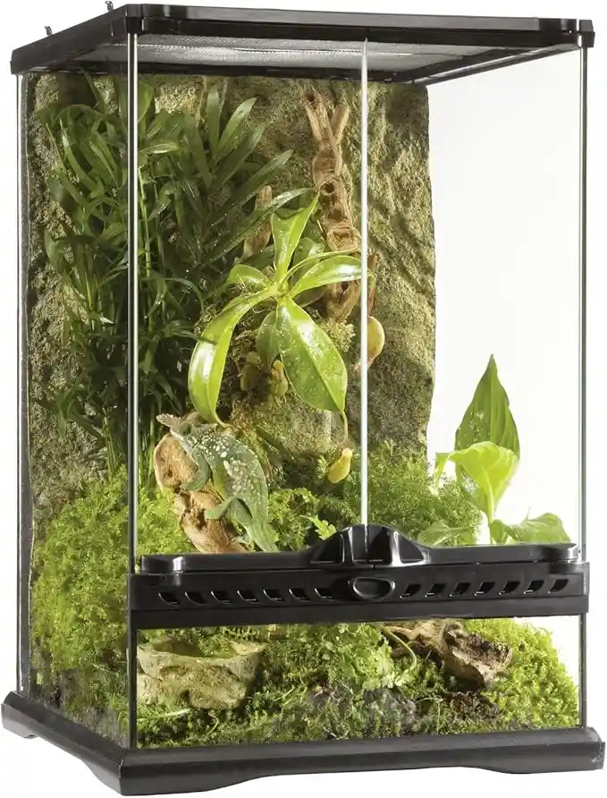 Terrario de Vidrio Exo Terra de 30 x 30 x 45 cm