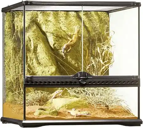 Terrario de Vidrio de Exo Terra de 45 x 45 x 45 cm