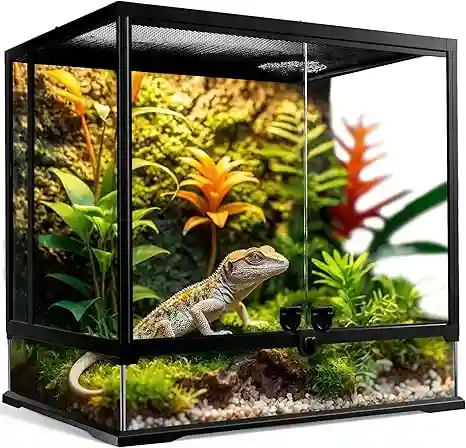 Terrario de vidrio de 43 galones para crestado