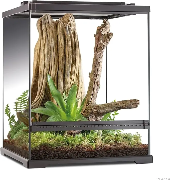 Terrario arbóreo para geckos de 60 x 45 x 30 cm