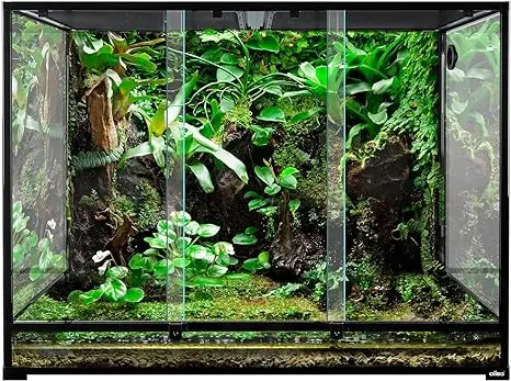 Terrario para iguanas bebés de 120 x 60 x 90 cm