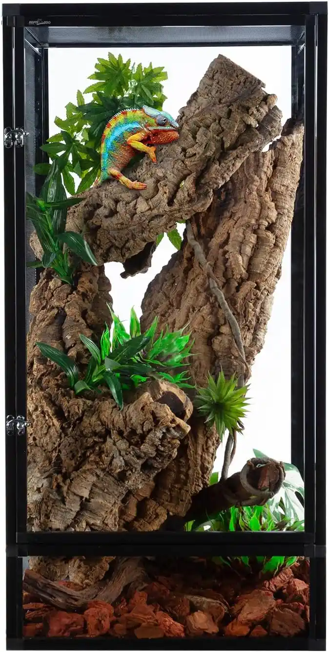 Terrario para Camaleones