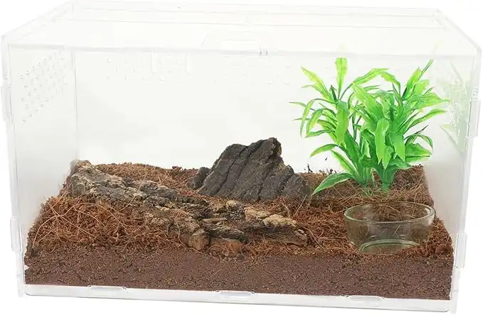 Terrario para Geckos